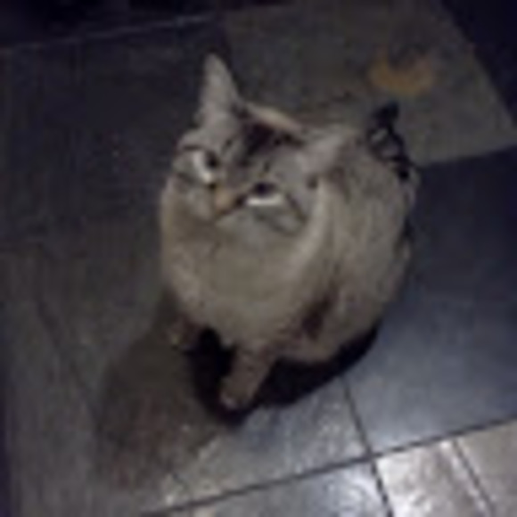 Meet your Posher, Debbie - Picture 1 of 1